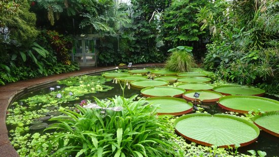 royal-botanic-garden